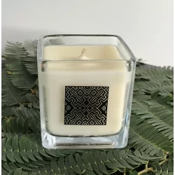 Bougie à la cire de...