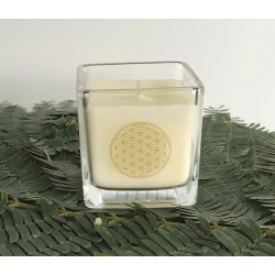 Bougie à la cire de colza ,...