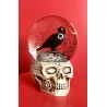 Boule neige, Tête de Mort & Corbeau . 17cm