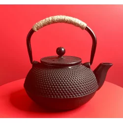 Théière Tetsukyusu émaillée...