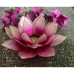 Lotus pink & gold mood...