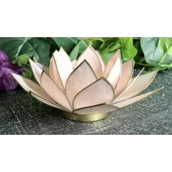 Pastel pink & gold Lotus...