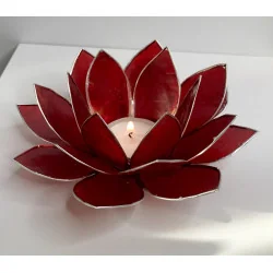 Eclairage Lotus 1er Chakra...