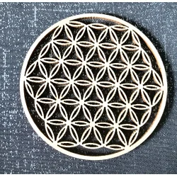 Cercle Fleur de vie.