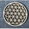 Cercle Fleur de vie.