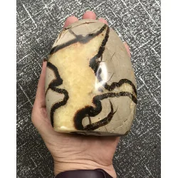🐉 Septaria de Madagascar - Œuf de Dragon