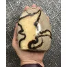 🐉 Septaria de Madagascar - Œuf de Dragon