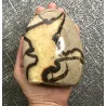 🐉 Septaria de Madagascar - Œuf de Dragon