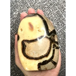 🐉 Septaria de Madagascar - Œuf de Dragon