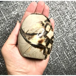 🐉 Septaria de Madagascar - Œuf de Dragon