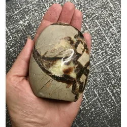🐉 Septaria de Madagascar - Œuf de Dragon