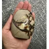 🐉 Septaria de Madagascar - Œuf de Dragon