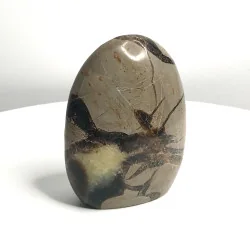 🐉 Septaria de Madagascar - Œuf de Dragon