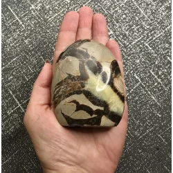🐉 Septaria de Madagascar - Œuf de Dragon