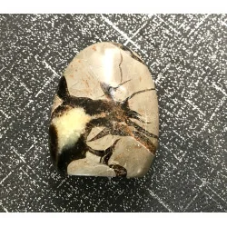🐉 Septaria de Madagascar - Œuf de Dragon