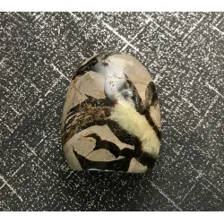 🐉 Septaria de Madagascar - Œuf de Dragon