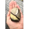🐉 Septaria de Madagascar - Œuf de Dragon