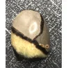 🐉 Septaria de Madagascar - Œuf de Dragon