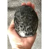 🌑 Galet Gabbro roulé – Madagascar