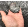 🌌 Labradorite grise – Madagascar
