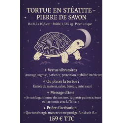 🐢 Tortue en Stéatite, Pierre de Savon.