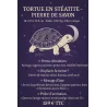 🐢 Tortue en Stéatite, Pierre de Savon.