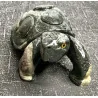 🐢 Tortue en Stéatite, Pierre de Savon.