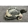 🐢 Tortue en Stéatite, Pierre de Savon.