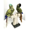 🦜 Couple de Perroquets Sculptés