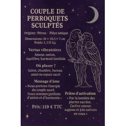 🦜 Couple de Perroquets Sculptés