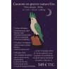 🦜 Cacatoès Sculpté