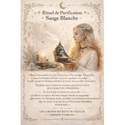 ✨ Encens à Refoulement Sauge Blanche ✨