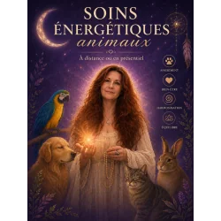 copy of Soin énergétique...