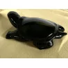 Tortue Obsidienne Oeil Céleste,13 cm.