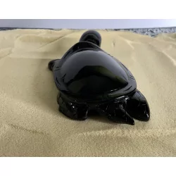 Tortue Obsidienne Oeil Céleste,13 cm.