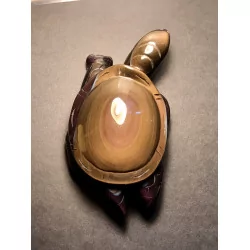 Tortue Obsidienne Oeil...