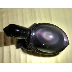 Tortue Obsidienne Oeil...